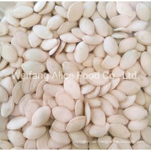 China Origin Cheap Price Factory Directly Sale 8.3-10mm Size Shine Skin Pumpkin Seeds
